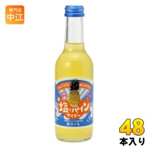 友桝飲料 塩&パインサイダー 245ml 瓶 48本 (24本入×2 まとめ買い) 地サイダー 炭酸ジュース タンサン｜nakae-web