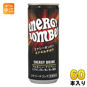 南日本酪農協同 南日本酪農 スコール エナジー 250ml 缶 80本 (20本入