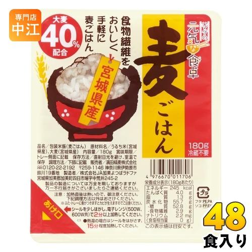 濱田精麦 ハマダの元気な食卓 麦ごはん 180g パック 48個 (12個入×4 まとめ買い)