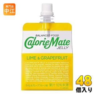 カロリーメイト 大塚製薬 カロリーメイトブロック バニラ味 2本