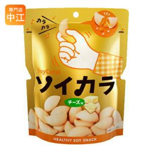 大塚製薬 ソイカラ チーズ味 27g 18袋入｜nakae-web