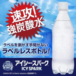 コカ・コーラ カナダドライ ザ タンサン アイ...の詳細画像3