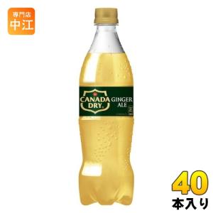 コカ・コーラ カナダドライ ジンジャーエール 700ml ペット