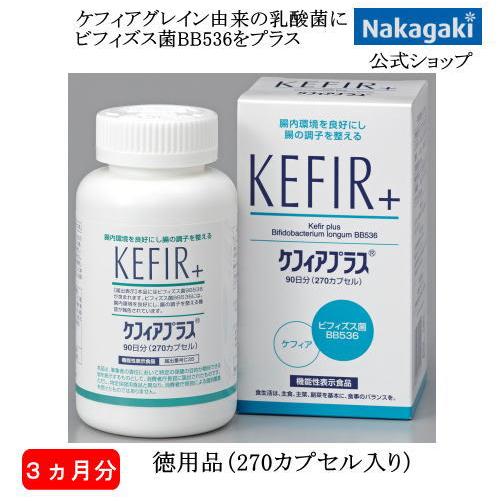 ケフィアプラス徳用品 送料無料 ビフィズス菌 BB536 乳酸菌 アシドフィルス ケフィア菌 オリゴ...