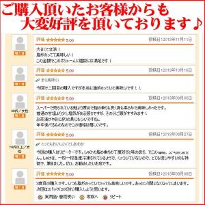 甘塩銀鮭の切り身 800g 1切れ約80g 1...の詳細画像4