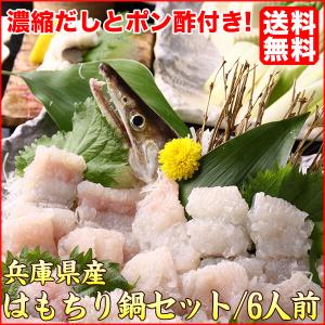 13年連続1位 長崎産天然クエ鍋2 3人前 クエ 計550g前後 クエスープ又はクエだしの素付き Kue001 よか魚 Com 通販 Yahoo ショッピング