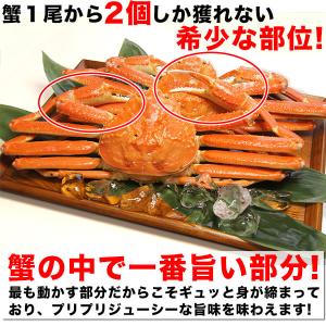 かに カニ ズワイガニ かに爪 総重量1kg ...の詳細画像2