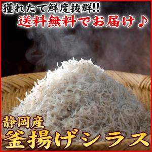 静岡産 釜揚げ 新物（しらす シラス） 無添加 釜揚げシラス 1kg 送料無料（グルメ 食品 同梱 ちりめん）