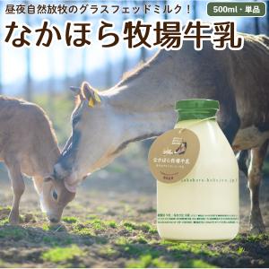 牛乳 ノンホモ 低温殺菌 500ml グラスフェッド 放牧場 ジャージー お取り寄せ 瓶入り 瓶牛乳 ［冷蔵便］