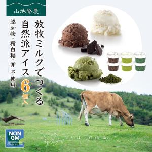 母の日 ギフト アイスクリーム 詰め合わせ 6個入 送料無料 熨斗 放牧場 お菓子 スイーツ 卵不使用 無添加 ［冷凍便］ nov｜nakahora-bokujou