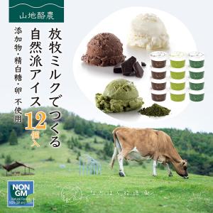 母の日 ギフト アイスクリーム 詰め合わせ 12個入 送料無料 熨斗 放牧場 お菓子 スイーツ 卵不使用 無添加 ［冷凍便］ nov｜nakahora-bokujou