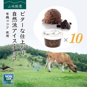 父の日 お中元  ギフト アイスクリーム なかほら牧場 チョコレート 10個入 送料無料 お菓子 スイーツ 卵不使用 無添加 ［冷凍便］｜nakahora-bokujou