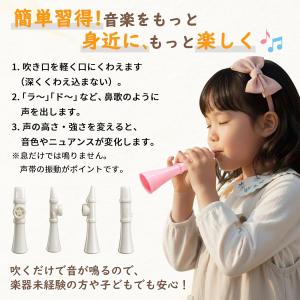 カズー 楽器 膜振動式 吹奏楽器 楽譜不要 す...の詳細画像4