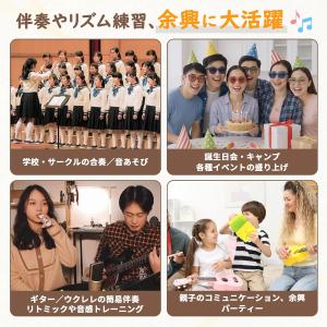 カズー 楽器 膜振動式 吹奏楽器 楽譜不要 す...の詳細画像5