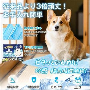 PCM冷感マット 41×30cm 28℃自然凍...の詳細画像5