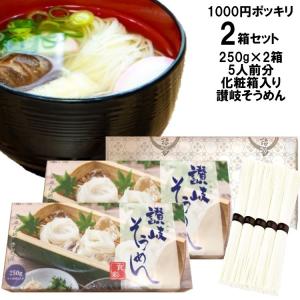 1000円ポッキリ そうめん 化粧箱入り讃岐そうめん 2箱セット 5人前分 500g (1箱250g 50g×5束 5人前分) デザインBOX+オリジナル紙包装