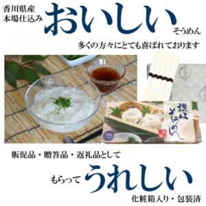 1000円ポッキリ そうめん 化粧箱入り讃岐そ...の詳細画像2