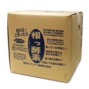 根の増強液「根っ酵素」(10Ｌ)｜根に活力をつけ生育を旺盛にする｜nakajima-kikai-shop