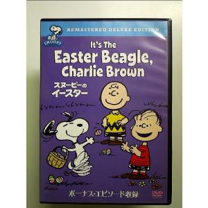 Universal Share Project DVD 引き寄せの法則 もっと人生☆ワクワク