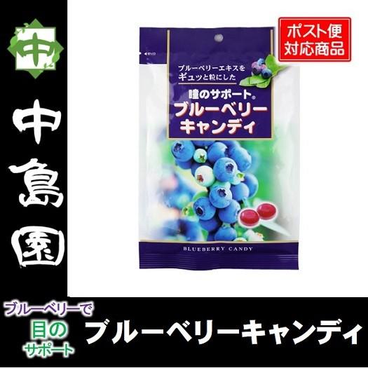 ブルーベリーキャンディ 瞳のサポート ブルーベリー 宇都宮 中島園