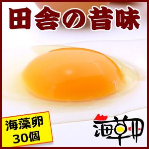 海藻卵　３０個｜nakajimafarm