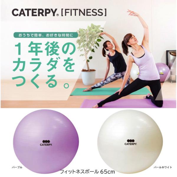 caterpy キャタピー フィットネスボール65cm 体幹 筋トレ ツインズ キャタピー トレーニ...