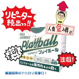 ガイアランドリー プレイボール Playbal...の詳細画像1