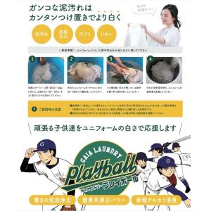 ガイアランドリー プレイボール Playbal...の詳細画像3