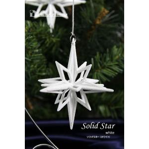 創業70年 老舗クリスマスツリー専門店 ツリートップスター（SP