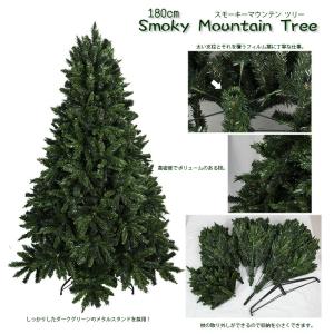 本物のもみの木170cm〜 10号鉢 クリスマスツリー用・モミの木 鉢植え