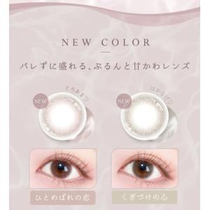 エバーカラー ワンデー ナチュラル 1箱20枚...の詳細画像1