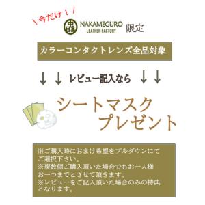 アイレ プライムワンデー 1箱100枚入り 1...の詳細画像2