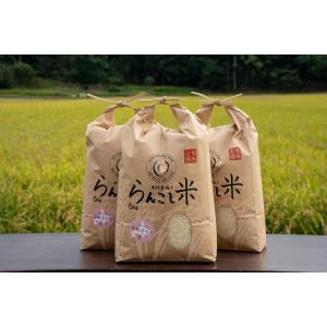 新米入荷【7年産】 北海道米 蘭越産 らんこし米 特別栽培米 ゆめぴりか