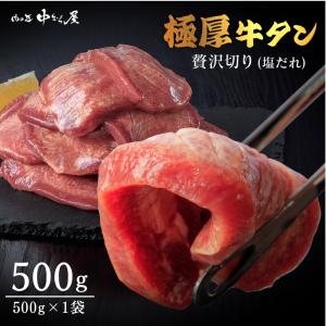 牛タン [ 厚切り牛タン 塩味 500g ] タン元 タン中 牛肉 ギフト お取り寄せ グルメ 贈り物