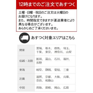 カーペット 6畳 安い 日本製 おしゃれ 絨毯...の詳細画像2