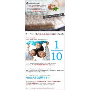 カーペット 3畳 ラグマット 天然素材ウールカ...の詳細画像4