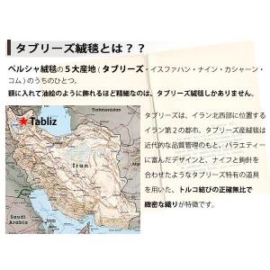 ペルシャ絨毯 絵画 タペストリー 壁掛け イン...の詳細画像2