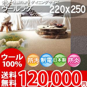 ラグ マット おしゃれ 防汚ラグ ダイニングラグ 220×250 東リ エト3900｜nakane