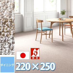 防ダニ 抗菌 ラグ ラグマット 220×250 ダイニングテーブル用(6人掛け) 防炎 制電 絨毯 カーペット 日本製 サンメランジェ｜nakane