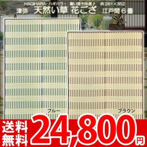 い草 カーペット  ラグ マット用 イグサ い草 井草 江戸間 六畳 6畳 津弥 ha｜nakane