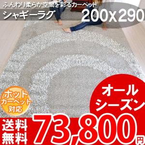 ラグ マット シャギーラグ 輸入カーペット  200x290 BALTA TOPAZE SHAGGY 95005060｜nakane