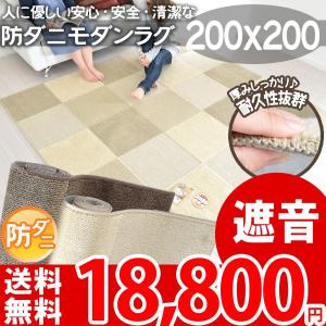 ラグ 北欧 おしゃれ 正方形 おすすめ ラグマット 日本製 0 0 防ダニ プルーウ 赤ちゃん 抗菌