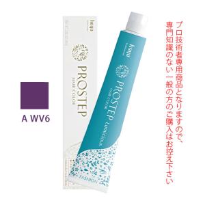 PROSTEP ホーユー プロステップ ルミシャス ファッションカラー I GY 8