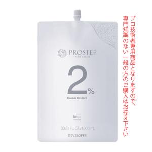 PROMASTER（ホーユー） ホーユー プロマスター ピグメント N-6P