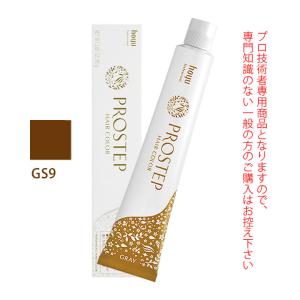 PROSTEP ホーユー プロステップ グレイカラー GS10 グレイスタンダード