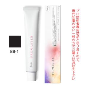 PROSTEP ホーユー プロステップ グレイカラー GA9 グレイアッシュ 80g