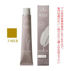 【新品・未使用】フィヨーレ BLカラー クオルシアカラー 120g 52本 フィヨーレ BLカラー クオルシア 120g | サロンサプリ｜業務用美容用品