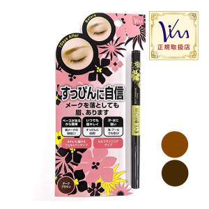 ビナ薬粧 セルフ タンニング アイブロウ ST＜ 眉墨 アイブロウ 落ちない ＞