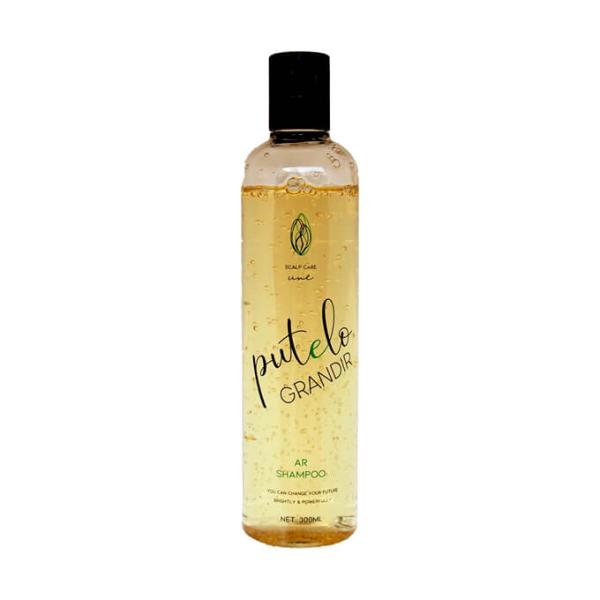 putelo プテロ AR シャンプー グランディール 300mL
