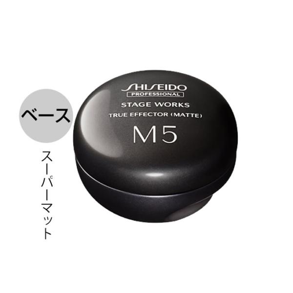 資生堂 ステージワークス トゥルーエフェクター （マット） 80g